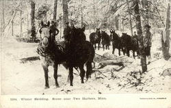 Winter Skidding Two Harbors, MN Postcard Postcard