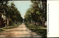 Hillbouse Avenue and Sachems Wood Postcard