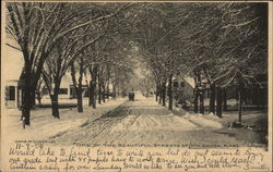 One of the Beautiful Streets of Holbrook, Mass Massachusetts Postcard Postcard