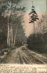 Lone Pine Postcard