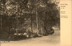 Birch Glen Postcard