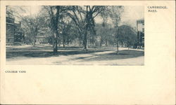 College Yard Cambridge, MA Postcard Postcard