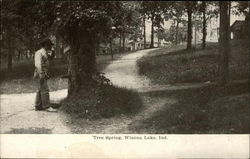Tree Spring Winona Lake, IN Postcard Postcard