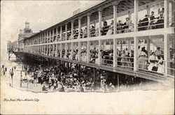 The Steel Pier Postcard