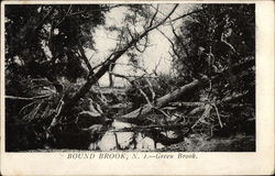 Green Brook Postcard