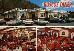 Roscoe Diner Restaurant New York