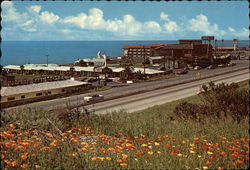 Ocean side scene Pismo Beach California