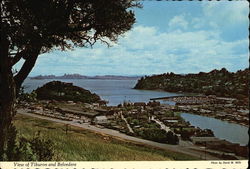 View of Tiburon and Belvedere California