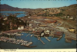 Tiburon Yacht Basin California