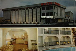 Desert Paradise Motel Postcard