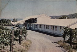 Vinehurst Motel Postcard