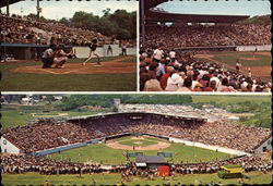 Little LEage World Series Williamsport, PA Postcard Postcard