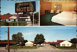 Bush's Motel Postcard