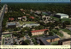 University of Detroit Postcard
