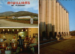McWilliams Mt. Pleasant Winery & Vineyard Cessnock, Australia Postcard Postcard