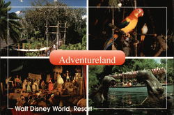 Adventureland; Walt Disney World Resort Postcard