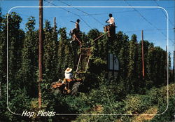 Workers in Hop Fields Postcard