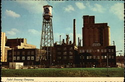Pabst Brewery Company Postcard