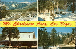 Mt. Charleston Area Las Vegas, NV Postcard Postcard