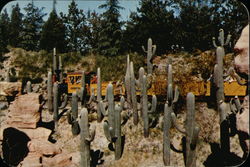 The Mine Train Postcard