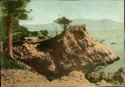 A Perfect Food Beverage - Figprune Cereal Postcard