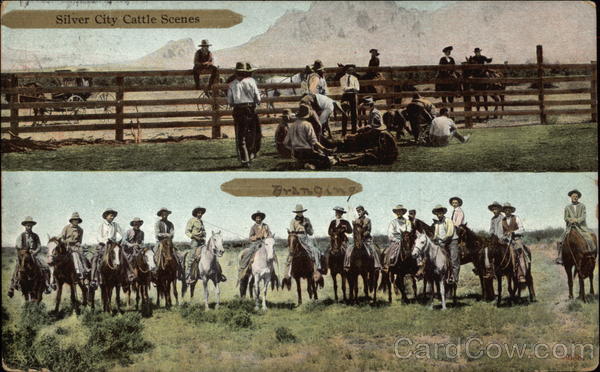 Silver City Cattle Scenes Cowboy Western