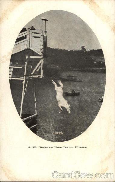 J.W. Gorman's High Diving Horses
