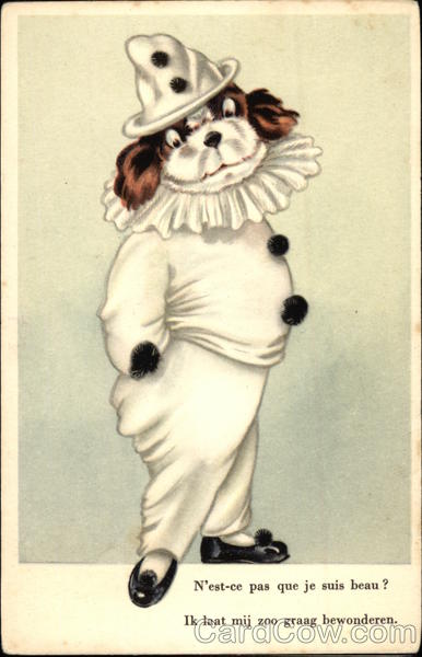 N'est-ce pas que je suis beau? Ik laat mij zoo graag bewonderen