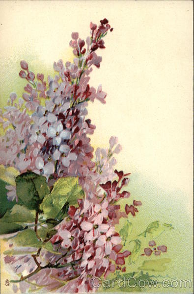 Painting of Pretty Lilac Blossoms C. Klein