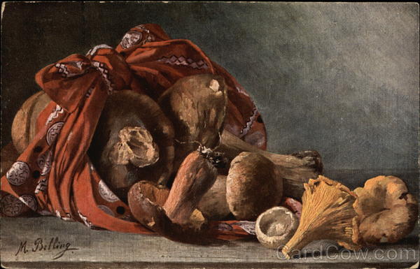 Mushrooms Bundled in Red Scarf Vegetables