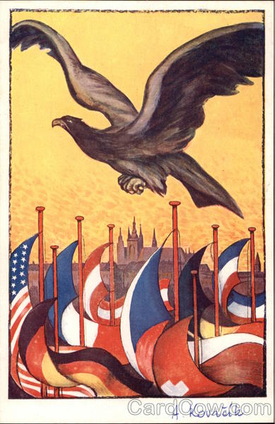 Falcon Flying over National Flags