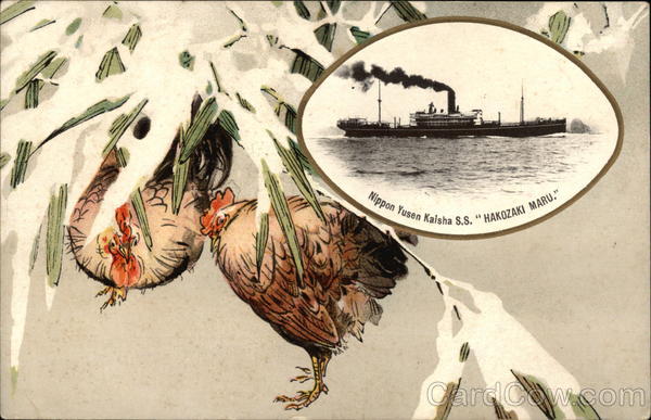 Nippon Yusen Kalsha SS Hakozaki Maru Japan Steamers