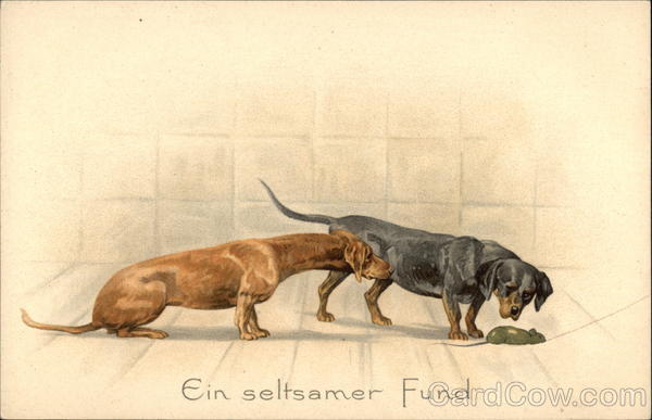 Ein seltsamer Fund Dachshunds