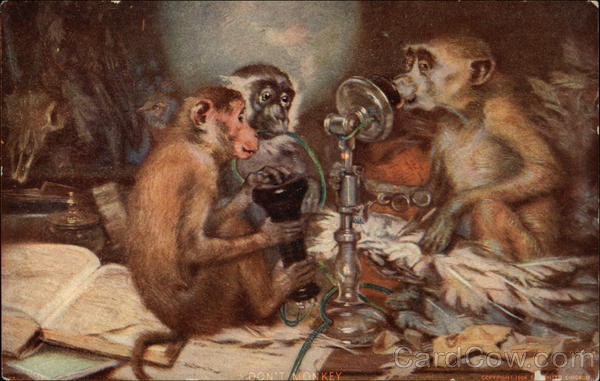 Three Monkeys Playing With A Phone