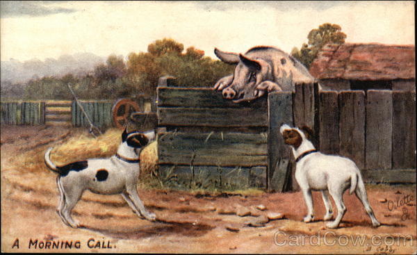 A Morning Call - Dogs at the Pig Pen