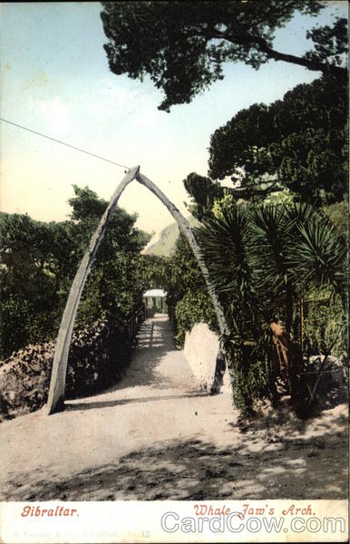 Gibraltar, Whale Jaw's Arch Travel