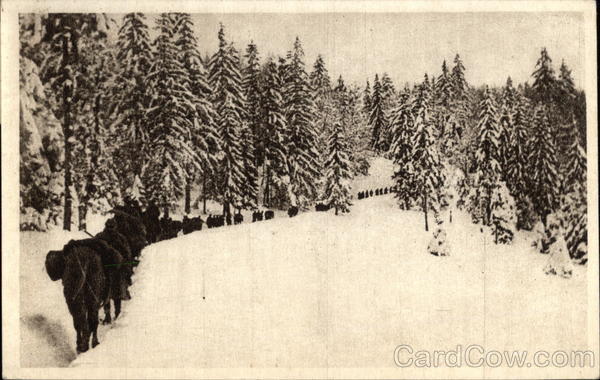 Soldiers Marching Through the Snow Yugoslavia Eastern Europe