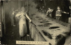 Stock #368779 Thumbnail