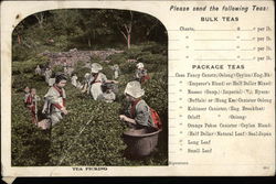 Tea Picking - Chase & Sanborn Tea and Coffee Importers Postcard