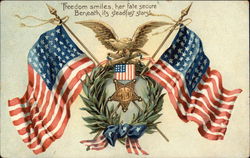 Freedom Smiles, Her Fate Secure Beneath its Steadfast Stars Postcard