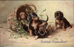 Black & Tan Puppies in a Basket Black & Tan Puppies in a Basket