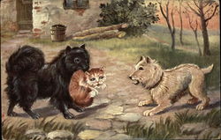 Black & White Dogs Playing with a Cat Postcard