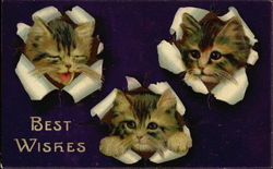 Best Wishes Postcard