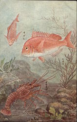 Underwater Scene of Fish and Shrimp Postcard