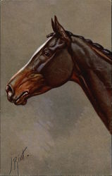 Portrait of a Horse by J. Rivst Horses Postcard Postcard