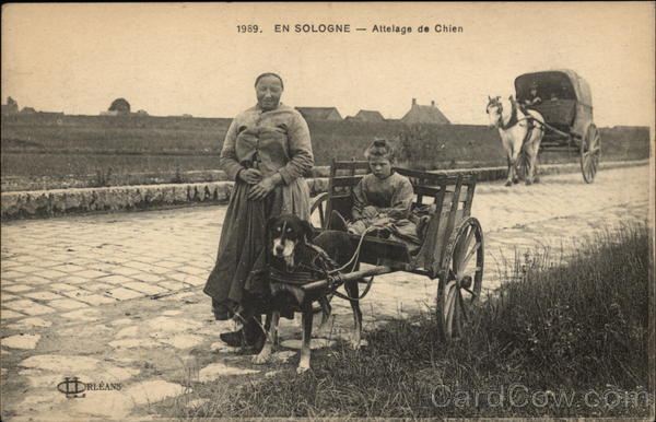 Large Dog pulling a Child in a Cart Dogs