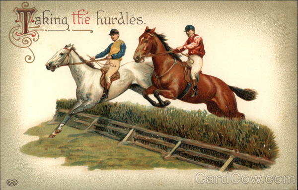 Taking the Hurdles - Horse Jumping Horses