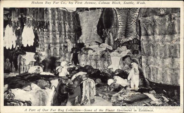 Hudson Bay Fur Company - Part of Our Fur Rug Collection Seattle Washington
