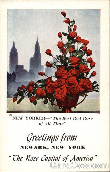 Greetings From The Rose Capital of America Flowers