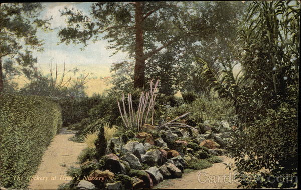 Henry A. Dreer, Seeds, Plants, Bulbs Advertising